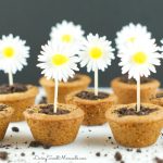Flower Pot Cookies - Chocolate Chip Cookie cups filled with hazelnut chocolate and topped with crushed chocolate cookies. Welcome Spring with yummy cookies.